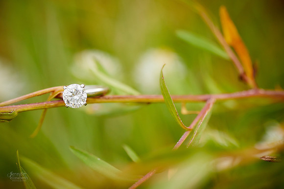 Amy & Bryan: Engagement Session at Station Road Bridge and the Brecksville Reservation