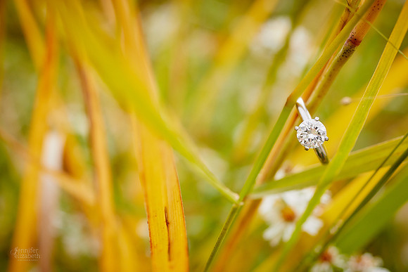 Amy & Bryan: Engagement Session at Station Road Bridge and the Brecksville Reservation