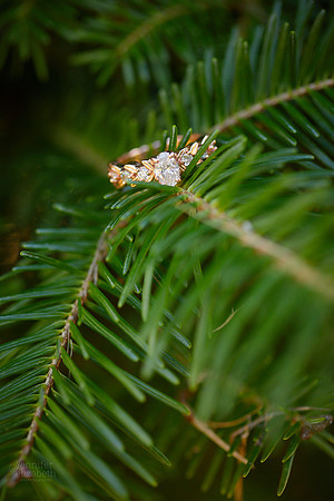 Maria & Matt: Engagement Session at Sugar Pines Farm
