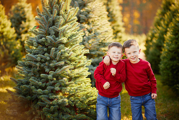 Holiday Mini Portrait Sessions at Sugar Pines Farm in Chesterland