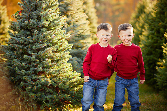 Holiday Mini Portrait Sessions at Sugar Pines Farm in Chesterland