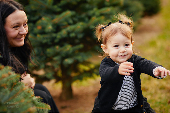 Holiday Mini Sessions at Sugar Pines Farm in Chesterland