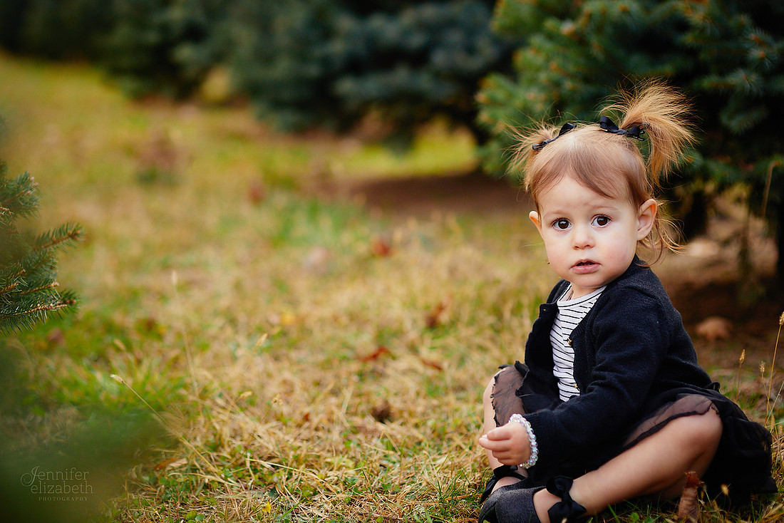 Holiday Mini Sessions at Sugar Pines Farm in Chesterland