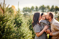 Holiday Mini Sessions at Sugar Pines Farm in Chesterland