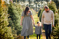 Holiday Mini Sessions at Sugar Pines Farm in Chesterland