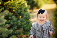 Holiday Mini Sessions at Sugar Pines Farm in Chesterland