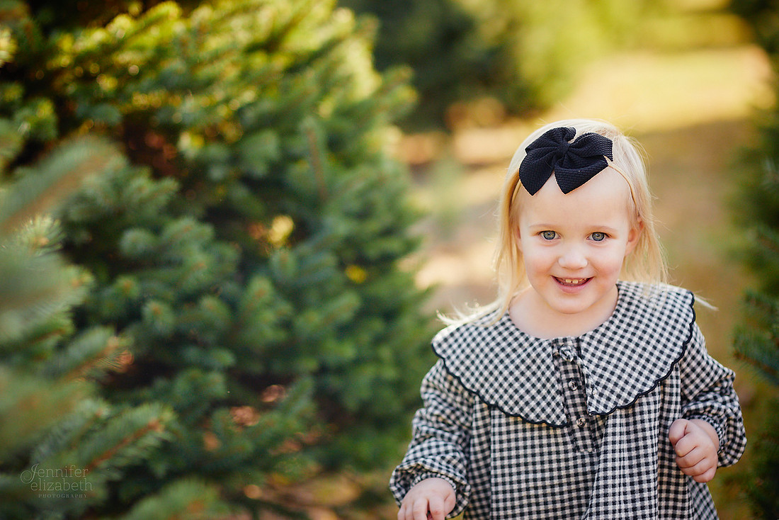 Holiday Mini Sessions at Sugar Pines Farm in Chesterland