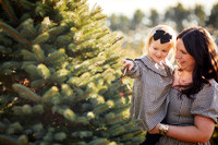 Holiday Mini Sessions at Sugar Pines Farm in Chesterland
