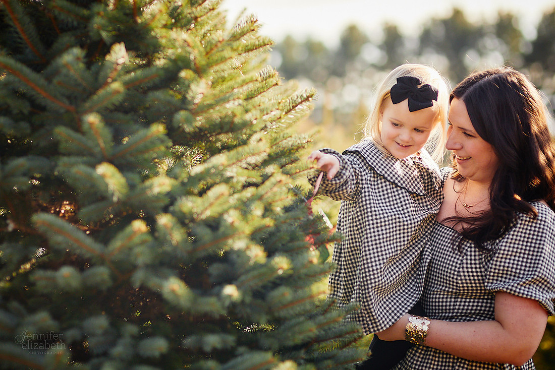 Holiday Mini Sessions at Sugar Pines Farm in Chesterland