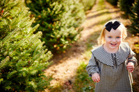 Holiday Mini Sessions at Sugar Pines Farm in Chesterland