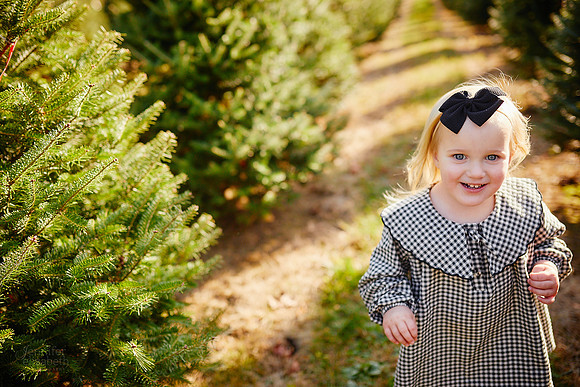 Holiday Mini Sessions at Sugar Pines Farm in Chesterland
