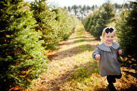 Holiday Mini Sessions at Sugar Pines Farm in Chesterland