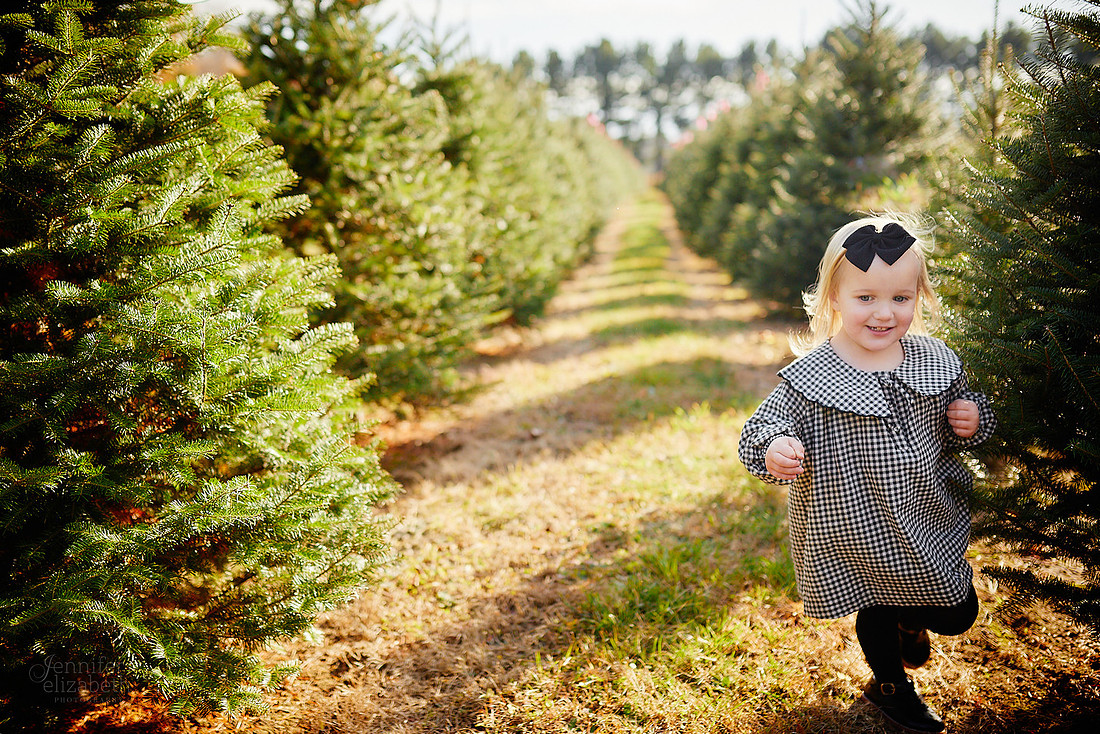 Holiday Mini Sessions at Sugar Pines Farm in Chesterland