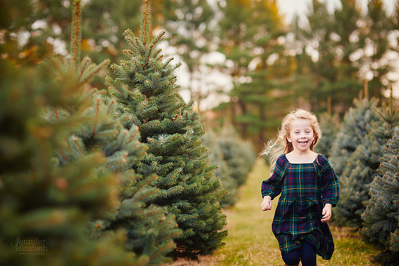 Holiday Mini Sessions at Sugar Pines Farm in Chesterland