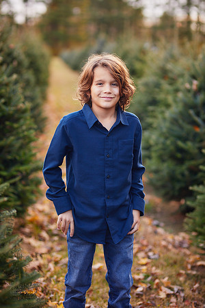 Holiday Mini Sessions at Sugar Pines Farm in Chesterland