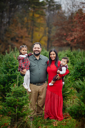 The M Family: Holiday Portrait Session at Rauh Christmas Tree Farm in Stow