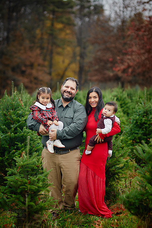 The M Family: Holiday Portrait Session at Rauh Christmas Tree Farm in Stow