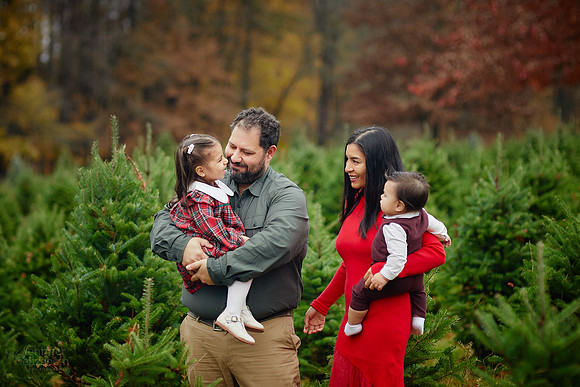 The M Family: Holiday Portrait Session at Rauh Christmas Tree Farm in Stow