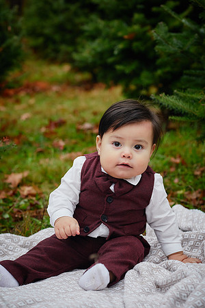 The M Family: Holiday Portrait Session at Rauh Christmas Tree Farm in Stow