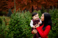 The M Family: Holiday Portrait Session at Rauh Christmas Tree Farm in Stow