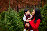 The M Family: Holiday Portrait Session at Rauh Christmas Tree Farm in Stow