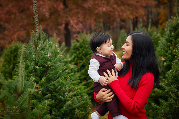 The M Family: Holiday Portrait Session at Rauh Christmas Tree Farm in Stow