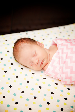Baby Haley: Lifestyle Newborn Session in Columbus, Ohio