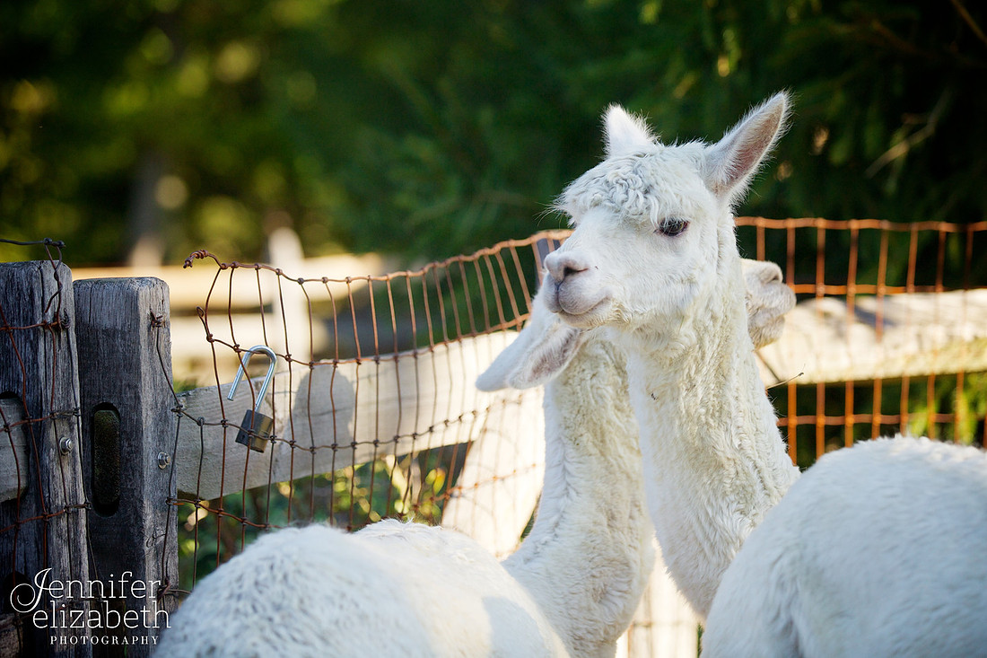 Josh's Senior Portrait Session in Cleveland, Ohio