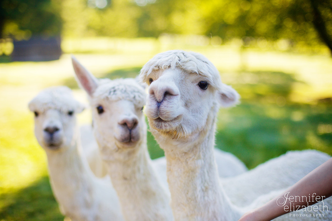 Josh's Senior Portrait Session in Cleveland, Ohio
