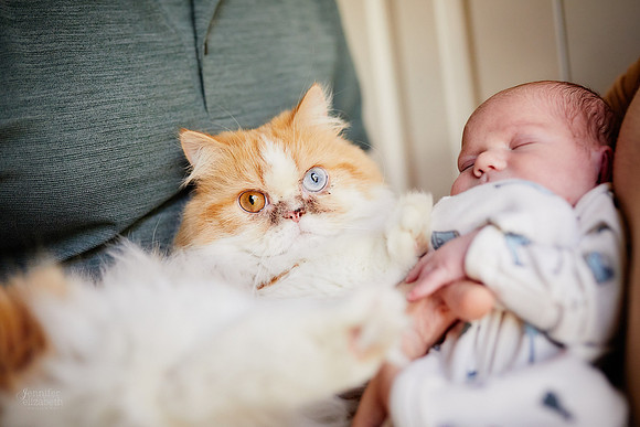 Baby Theodore: Lifestyle Newborn Session in Twinsburg