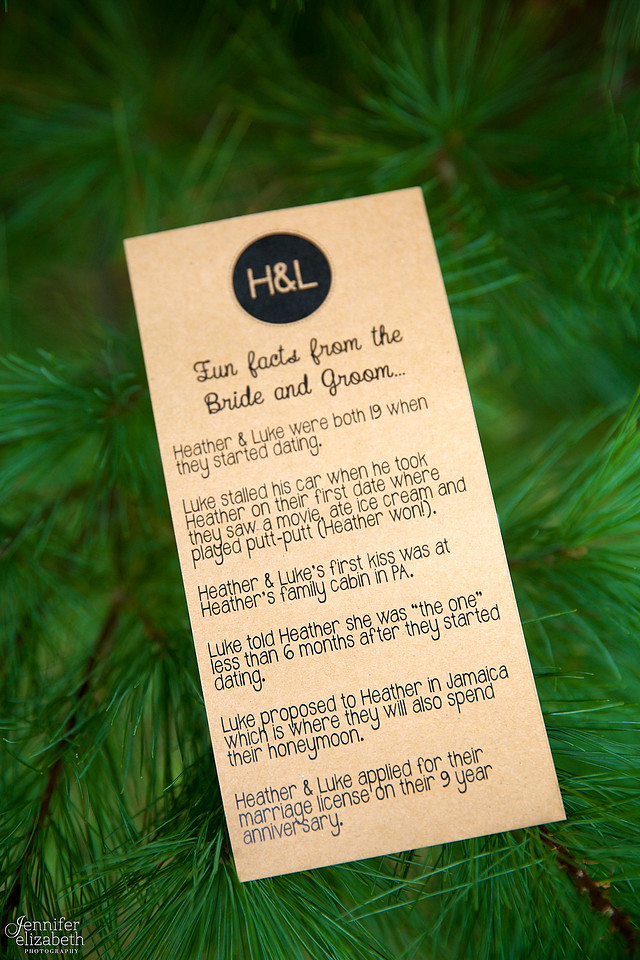 Heather and Luke: Wedding at Pinehill Sauers Farm