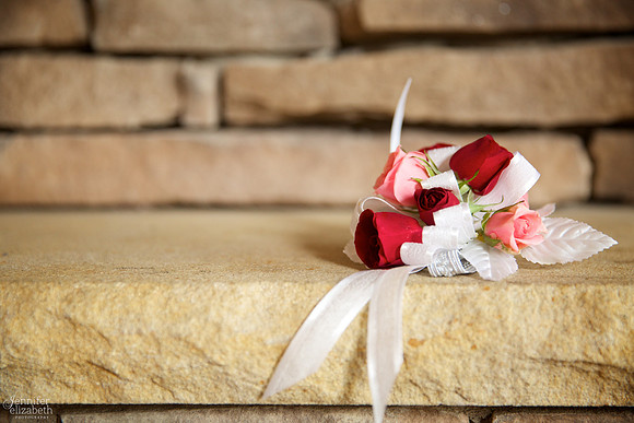 Deborah & Todd: Wedding Reception at the Rosemont Country Club in Akron, Ohio