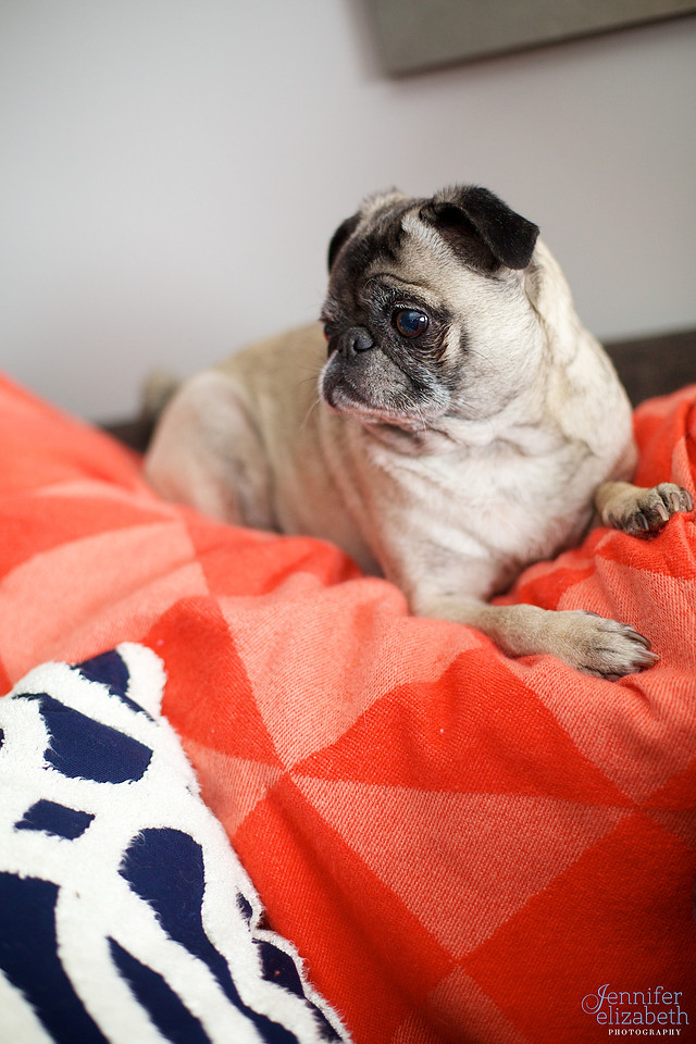 Baby Matthew Newborn Session in Cleveland, Ohio