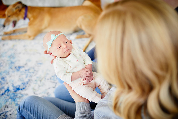 Baby Abigail: Newborn Family Portrait Session in Solon