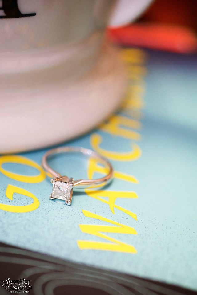 Megan & Bryan: Engagement Session in Columbus, Ohio