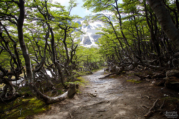 Chile and Argentina Travel