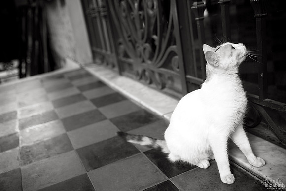 Chile and Argentina Travel