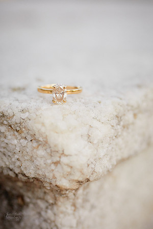Jess & Tim: Engagement at Wade Lagoon and the Cleveland Museum of Art