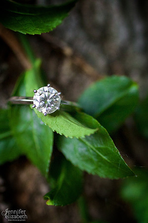 Amanda and Mike: Engagement Portrait Session in Olmsted Falls, Ohio