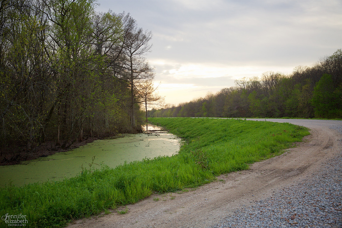 Travel Photography in Tennessee and New Orleans