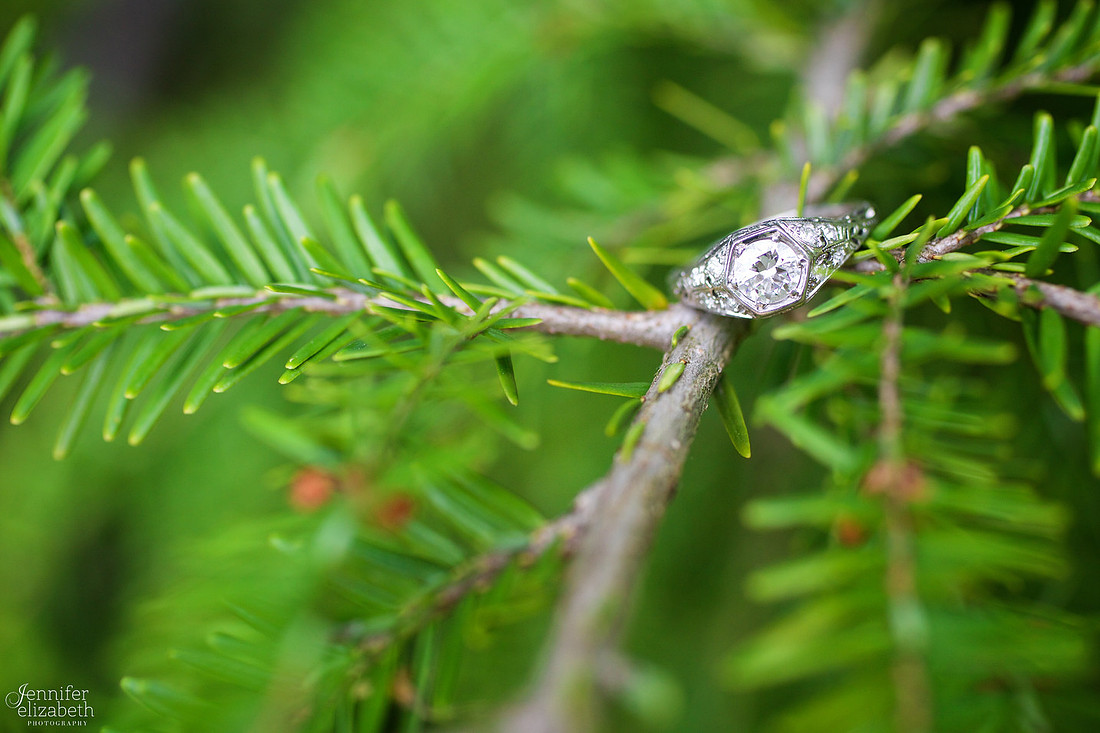 Erica and Trevor's Engagement Session in David Fortier Park