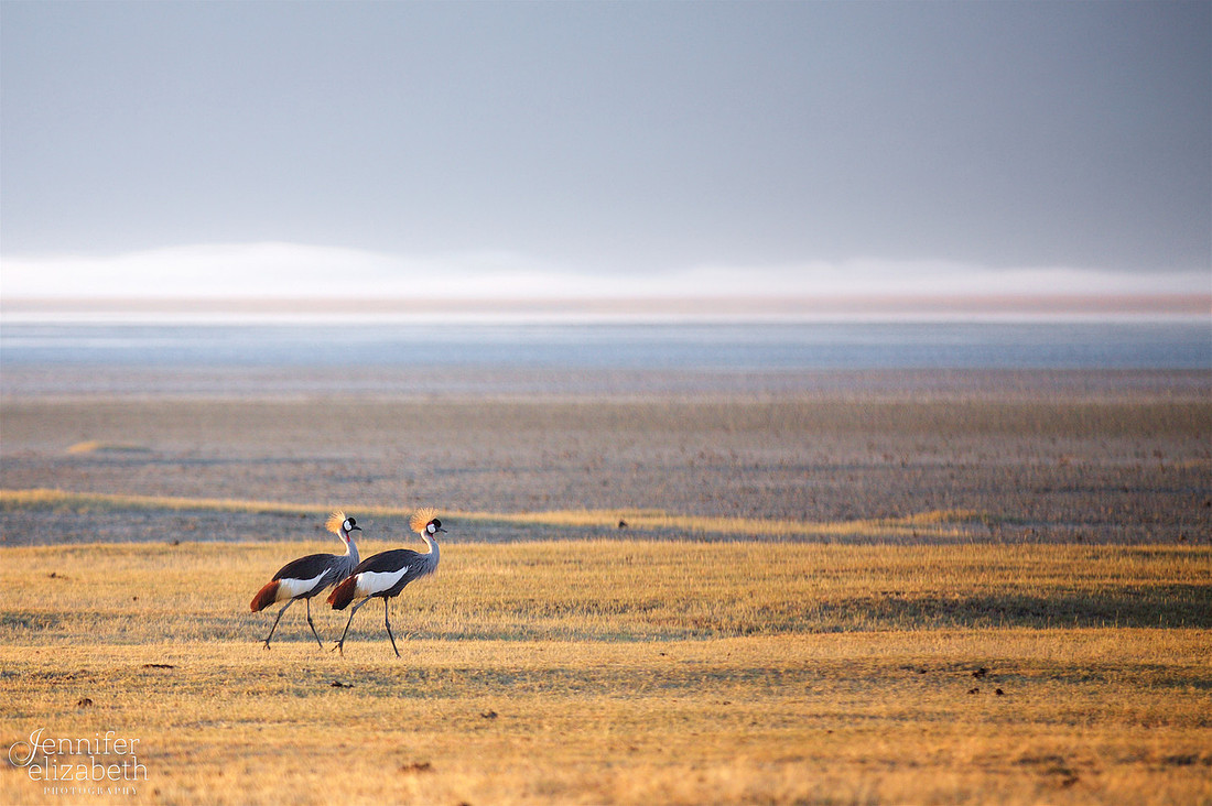 Tanzania and Victoria Falls Travel Photography