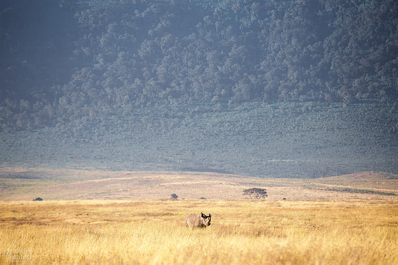 Tanzania and Victoria Falls Travel Photography