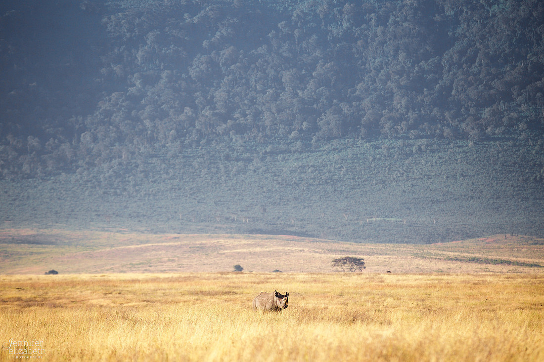 Tanzania and Victoria Falls Travel Photography