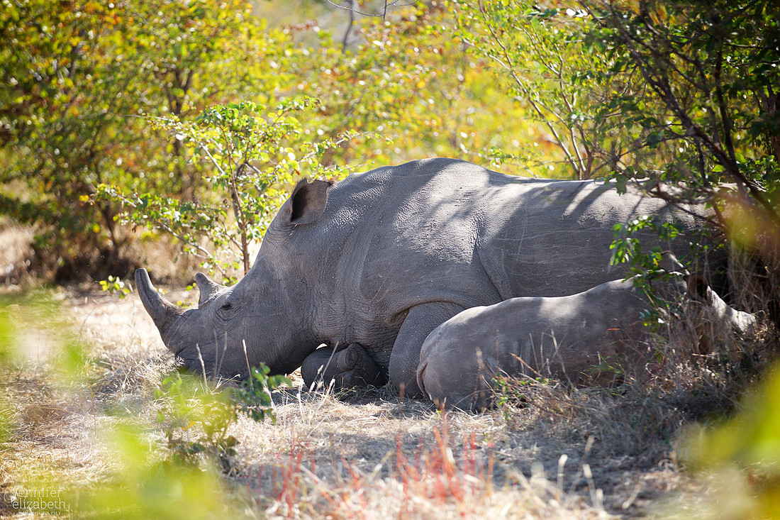 Tanzania and Victoria Falls Travel Photography