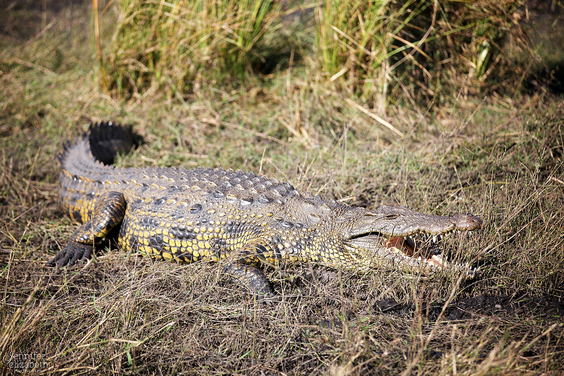 Tanzania and Victoria Falls Travel Photography