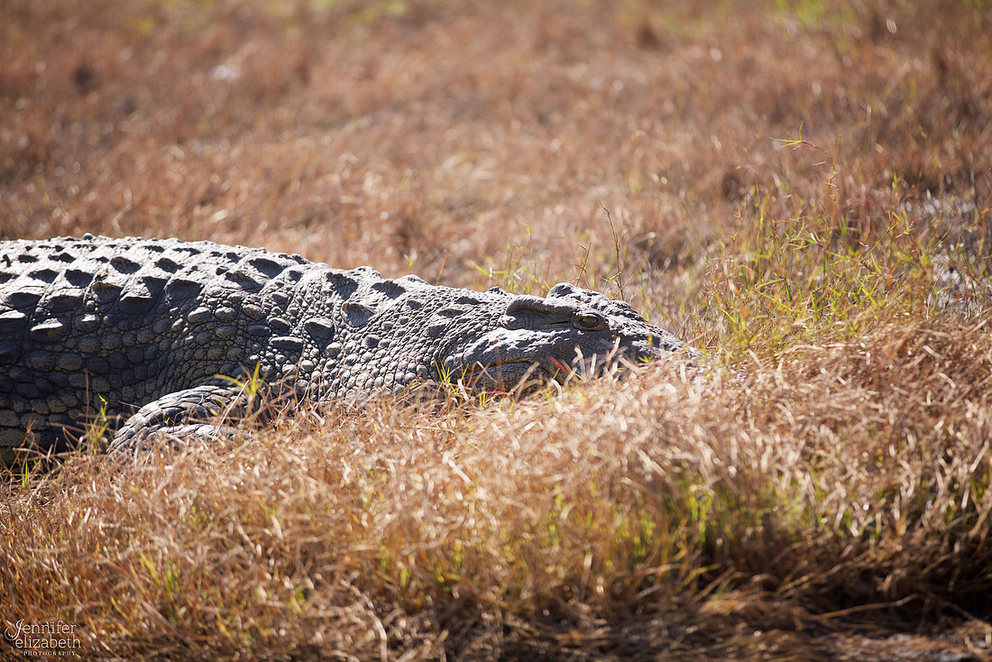 Tanzania and Victoria Falls Travel Photography