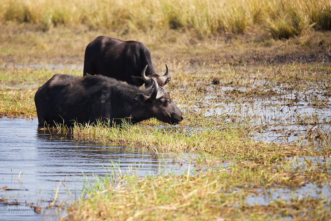 Tanzania and Victoria Falls Travel Photography