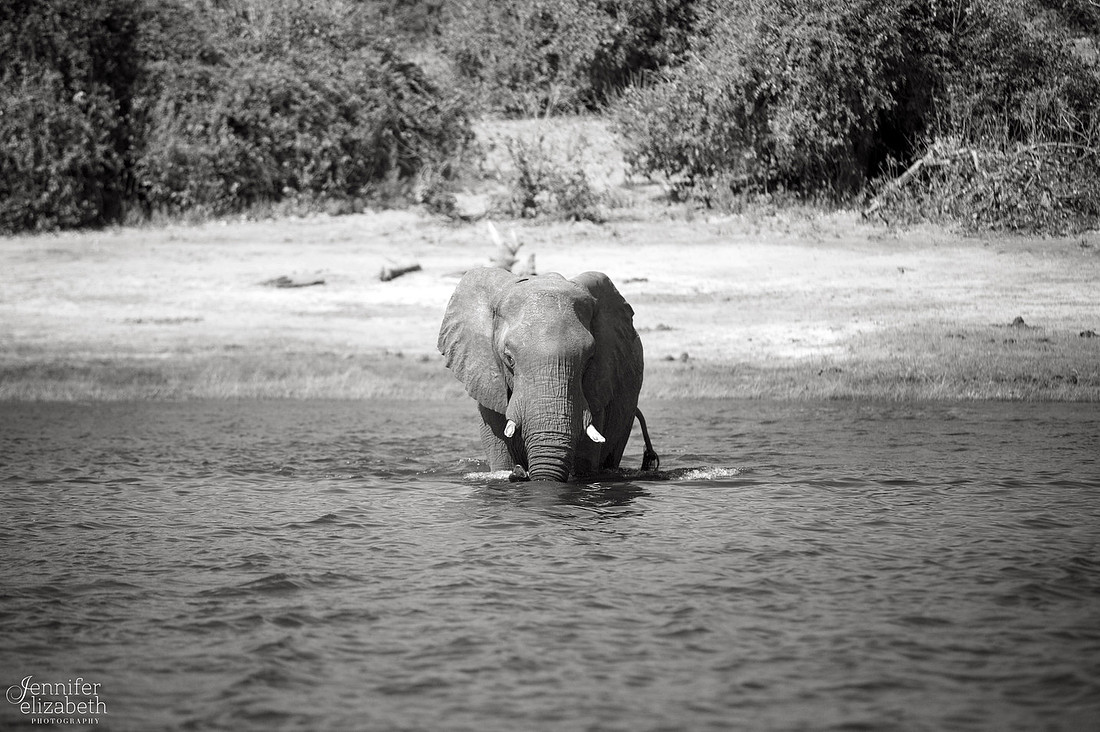 Tanzania and Victoria Falls Travel Photography