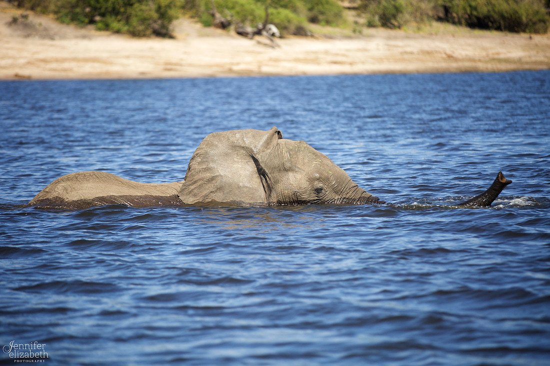 Tanzania and Victoria Falls Travel Photography
